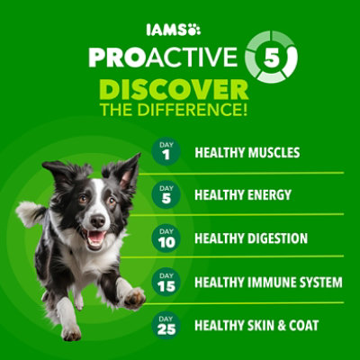 Iams Prh Adl Sm 4.5 Lb - 4.5 LB - Image 3