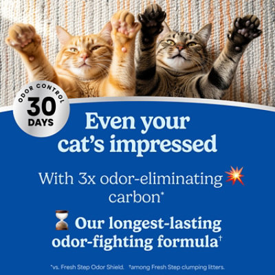 Fresh Step Heavy Duty Odor Block Multi-Cat Clumping Litter with Febreze Freshness - 22 Lbs - Image 4