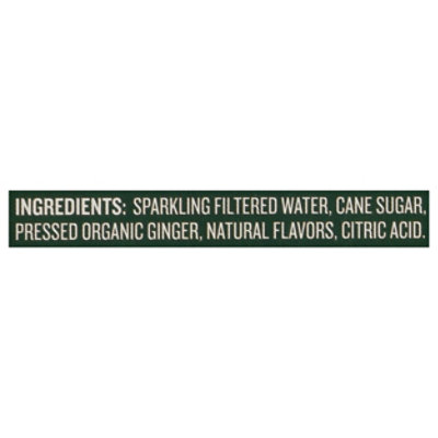 Reeds Soda Real Ginger Ale 4-12 Fz - 4-12 FZ - Image 4