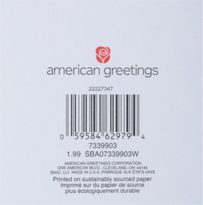 American Greetings Pastel Plaid Baby Shower Mini Gift Enclosure - Each - Image 6