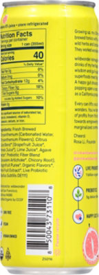 Wildwonder Pink Pomelo Limeade Sparkling Prebiotic And Probiotic - 12 FZ - Image 5
