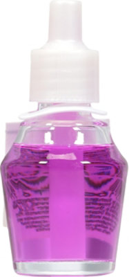Sens Magic Spell Fragrance Oil - 0.8 fl oz - Image 4