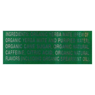 Drink Weird Tea Yebra Mate Mystical Mint - 16 FZ - Image 4