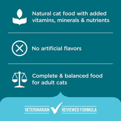 Rachael Ray Nutrish Dry Cat Salmon & Brown Rice - 2.5 LB - Image 4