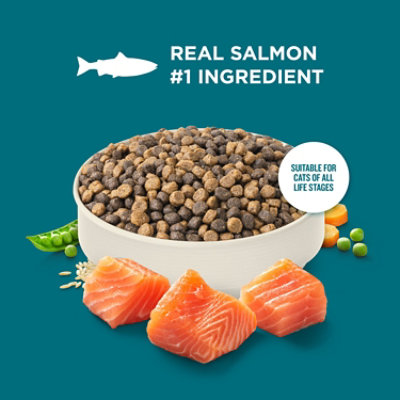 Rachael Ray Nutrish Dry Cat Salmon & Brown Rice - 2.5 LB - Image 5