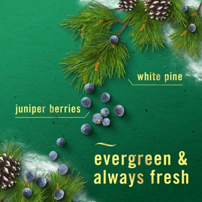 Febreze Air Mist Aerosol, White Pine & Juniper Berry - 8.1 Oz. - 8.1 oz - Image 3