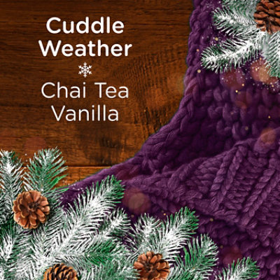 Downy Cozy Collection In-wash Scent Booster, Cuddle Weather - 7.8 Oz. - 7.8 oz - Image 3