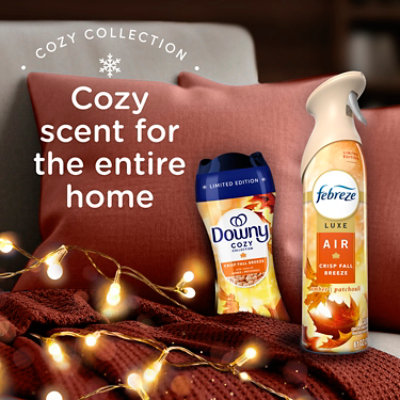 Downy Cozy Collection In-wash Scent Booster, Crisp Fall Breeze - 7.8 Oz. - 7.8 oz - Image 5