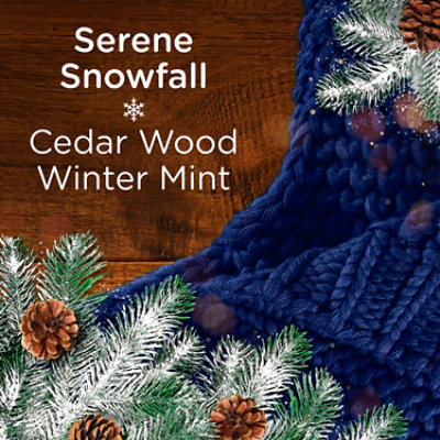 Downy Cozy Collection In-wash Scent Booster, Serene Snowfall - 7.8 Oz. - 7.8 oz - Image 3