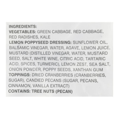 Ark Foods Kale Lemon Poppy Chopped Kit - 10 OZ - Image 5