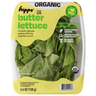 Hippo Harvest Greenhouse Organic Baby Butter Lettuce 4.5oz - 4.5 OZ - Image 2