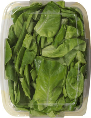 Hippo Harvest Greenhouse Organic Baby Butter Lettuce 4.5oz - 4.5 OZ - Image 4
