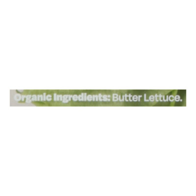 Hippo Harvest Greenhouse Organic Baby Butter Lettuce 4.5oz - 4.5 OZ - Image 3