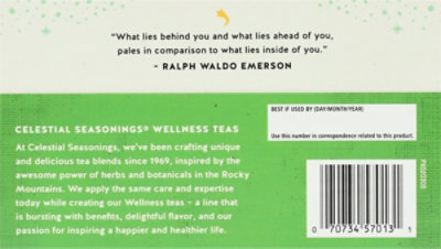 Celestial Seasonings Tea Stomach Soother - 16 CT - Image 4