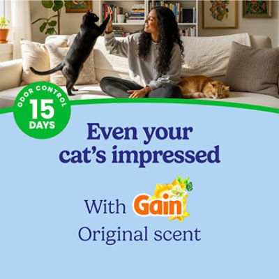 Fresh Step Odor Shield With Gain 1/22lb - 22 LB - Image 4