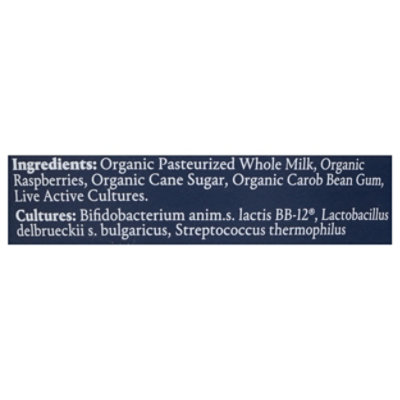 Norr Organic Yogurt Raspberry Organic - 4.4 fl oz - Image 4