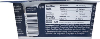 Norr Organic Yogurt Mixed Berry Acai Skyr - 4.4 fl oz - Image 5