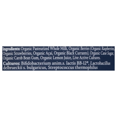 Norr Organic Yogurt Mixed Berry Acai Skyr - 4.4 fl oz - Image 4