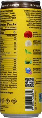 Melting Forest Coconut Pineapple - 12 fl oz - Image 5
