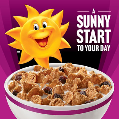 Kellogg's Raisin Bran Protein Cinnamon 14.9oz - 14.9 oz - Image 2
