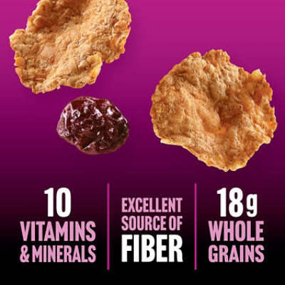 Kellogg's Raisin Bran Protein Cinnamon 14.9oz - 14.9 oz - Image 4