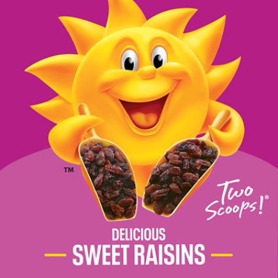 Kellogg's Raisin Bran Protein Cinnamon 14.9oz - 14.9 oz - Image 5