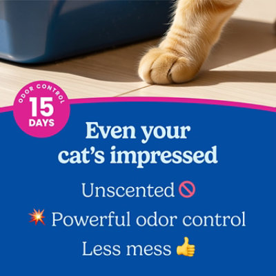 Fresh Step Clean Paws Unscented 1/22lb - 22 lb - Image 4