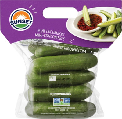 Sunset Cucumbers Mini 2lb - 2 LB - Image 3