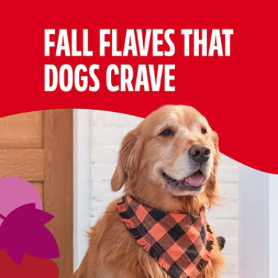 Milk-bone 8 Ounce Dunkin Donut Maple Bacon Flavor Vanilla Dipped Dog Treat Each - 8 oz - Image 4