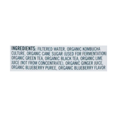 221bc Kombucha Blueberry Ginger - 16 FZ - Image 5