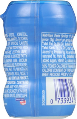 Sugarfree Fresh Mint Gum - 10 ct - Image 5