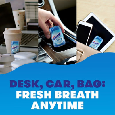 Sugarfree Fresh Mint Gum - 10 ct - Image 5
