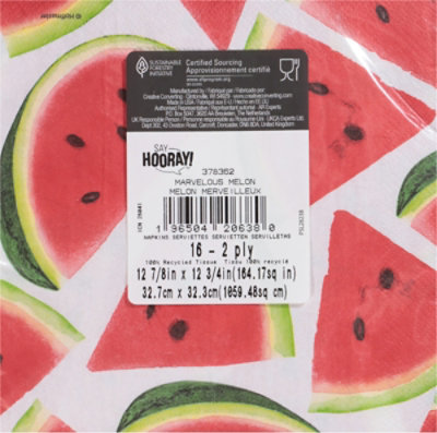 Marvelous Melon Lunch Napkin - 16 ct - Image 3