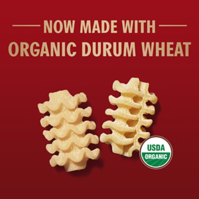 Organic Al Bronzo Radiator 454g Pasta Bag Usa - 16 oz - Image 2