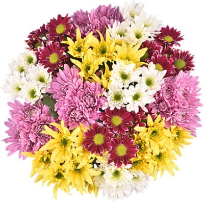 Pom Mega Bunch - Each - Image 1