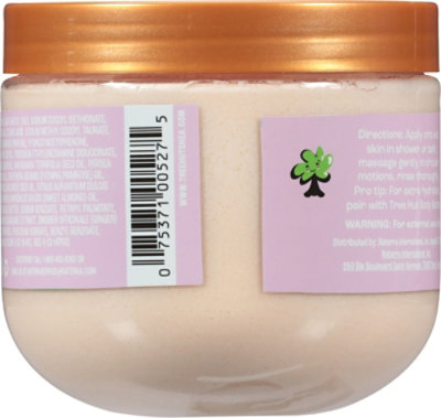 Tree Hut Cinnamon Dolce Daily Moisturizing Scrub - 15 oz - Image 5