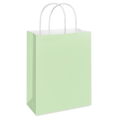 American Greetings 13 in. Large Mint Gift Bag for All Occasions (1-Count) - Image 1