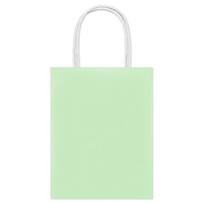 American Greetings 13 in. Large Mint Gift Bag for All Occasions (1-Count) - Image 4