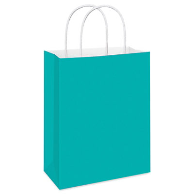 American Greetings 13 in. Large Solid Aqua Gift Bag for All Occasions (1-Count) - Image 1