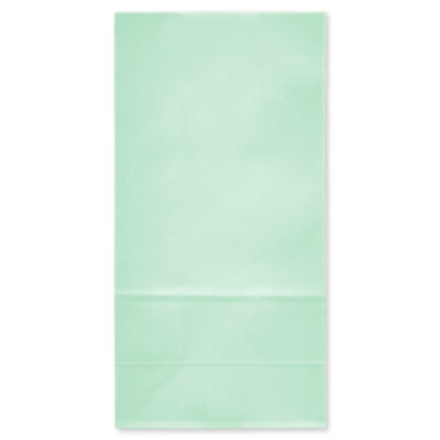 American Greetings 10 in. Mint Goodie Bag (1-Count) - Image 3