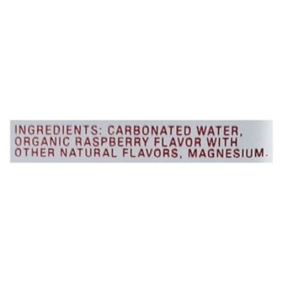 Ohy Water Hydrogen Sparkling Raspberry - 12 fl oz - Image 4