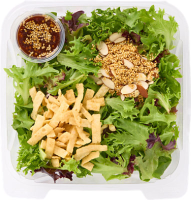 Readymeals Sesame Ginger Salad - Ready2eat - EA - Image 1