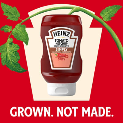 Heinz Simply Spicy Tomato Ketchup Blended With Jalapeno, 13.5 Oz Bottle - 13.5 Oz - Image 2
