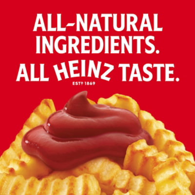 Heinz Simply Spicy Tomato Ketchup Blended With Jalapeno, 13.5 Oz Bottle - 13.5 Oz - Image 3