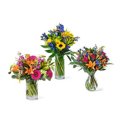 Mixed Spring Arrangements