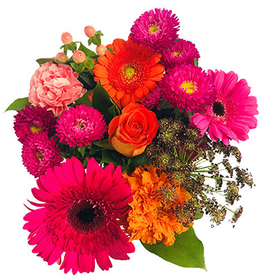 Debi Lilly A Perfect Gift Bouquet