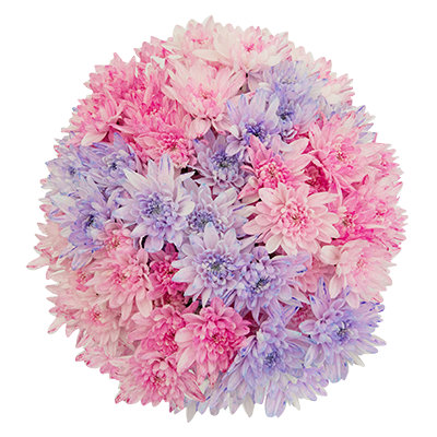 Poms Unicorn