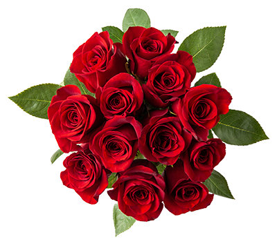 Debi Lilly Rose Bunch 12 Stem