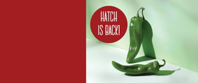 Hatch is back!