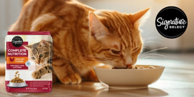 Signature cat food